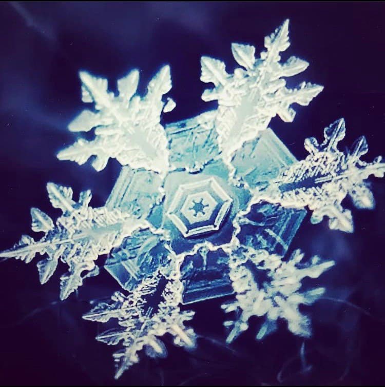 Estructura